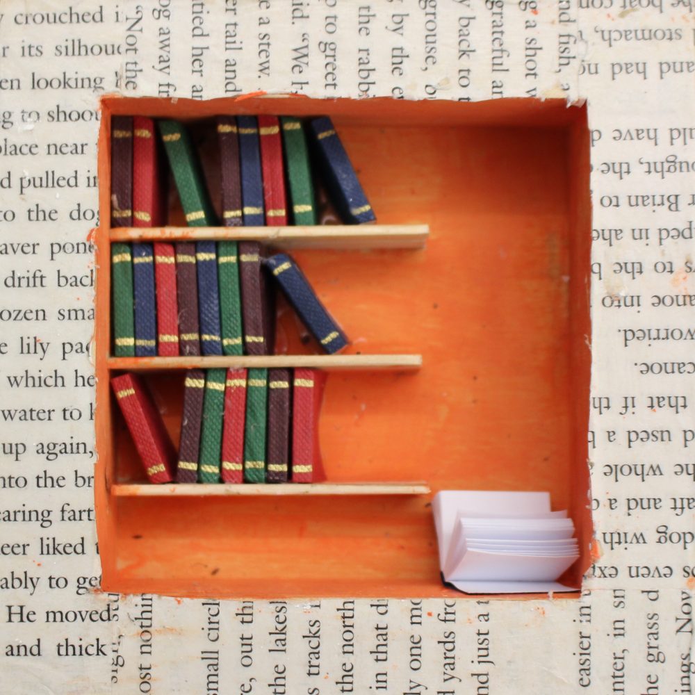 Bookshelf + Stories