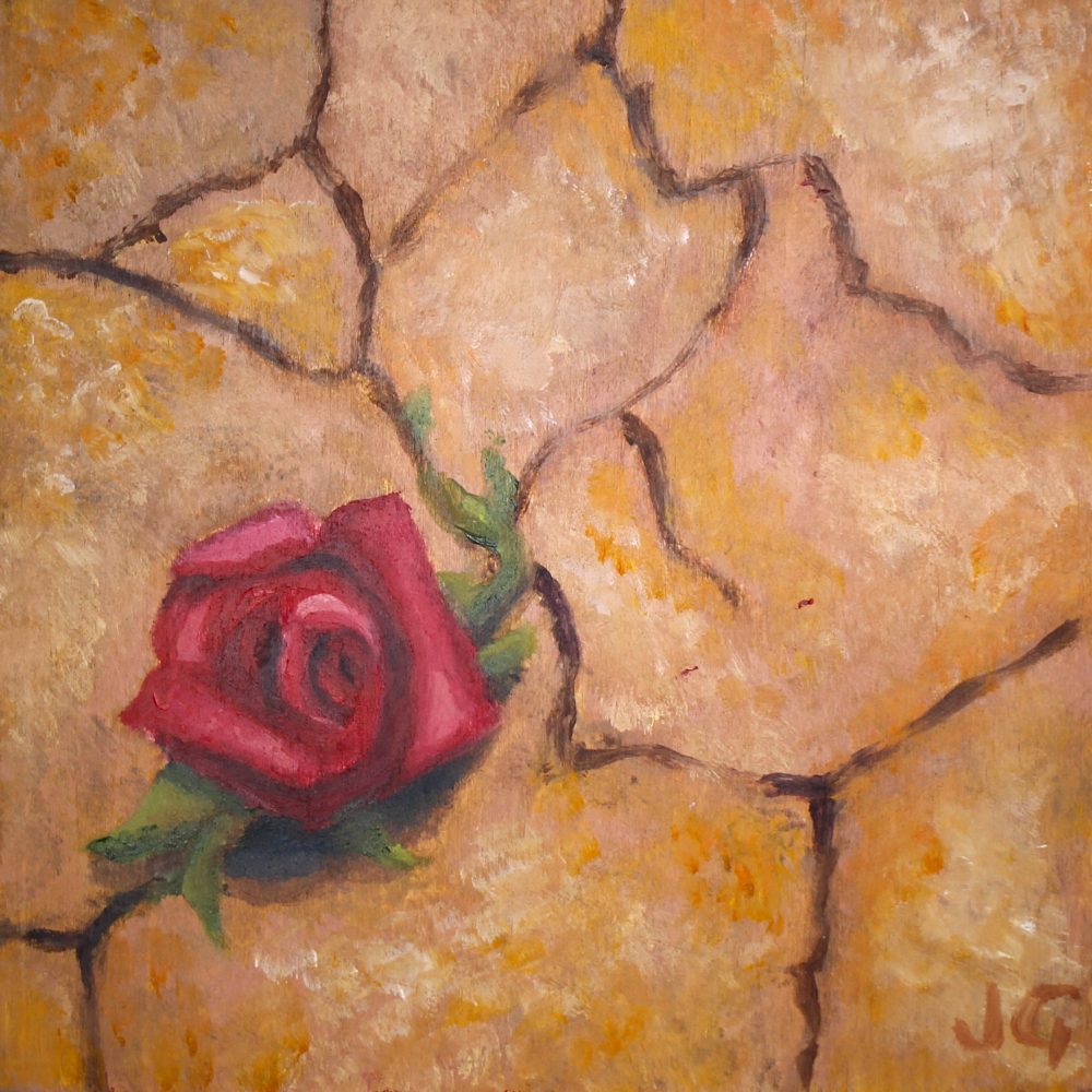 Untitled (rose)