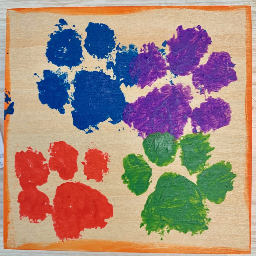 PawPrints of Resilience