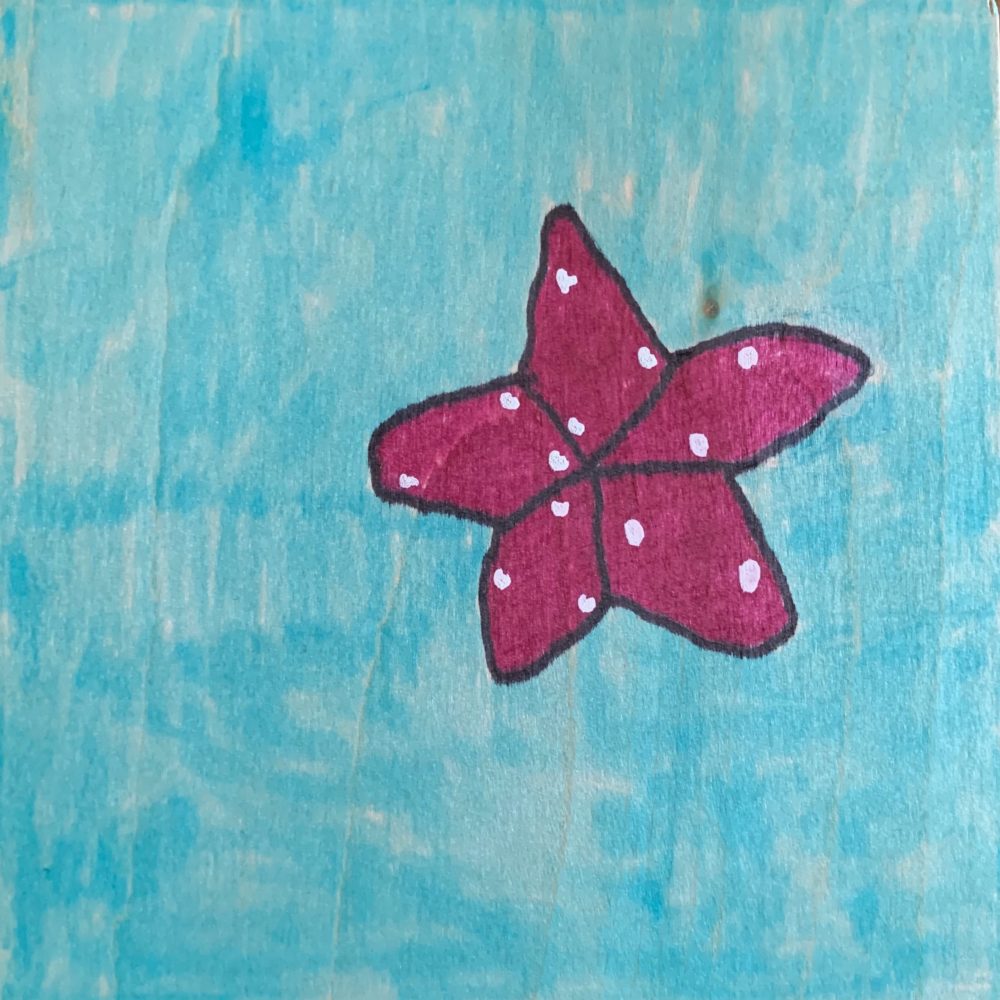 La Starfish