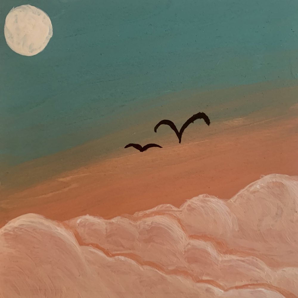 clouds and moon and birds