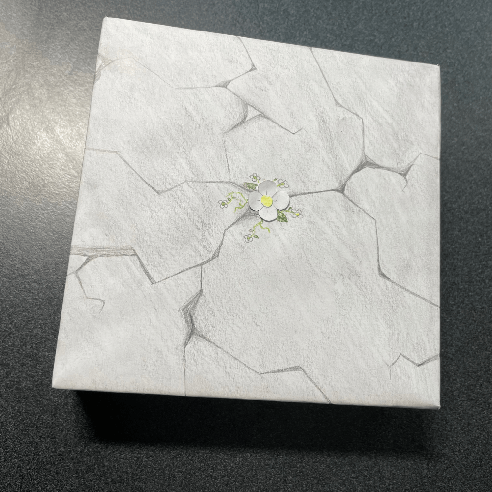 A Crack in the Concrete